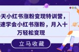 19天小红书涨粉变现特训营，快速学会小红书涨粉，月入十万轻松变现
