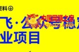 路飞·公众号稳定副业项目，你只要无脑去推广，粉丝和收入，自然就来了