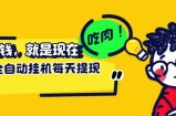 （12562期）最新玩法 头条挂机阅读 全自动操作 小白轻松上手 门槛极低仅需一部手机&amp;#8230;