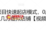 虚拟项目快速起店模式：0成本打造月入几万虚拟店铺【视频课程】