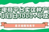 最新在电商平台发布这种产品，新手小白日入3k不成问题，最详细赚钱教学