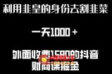 利用非皇的身份去割韭菜，一天1000+(附详细资源)【揭秘】