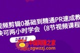 短视频剪辑0基础到精通PR速成教学：最快可两小时学会