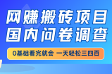 网赚搬砖项目，国内问卷调查，0基础看完就会 一天轻松三四百，靠谱副业