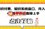 知识付费，知识系统盘口，月入1w+，新手小白直接上手