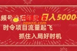 视频号直播年货，时令项目流量起飞，抓住入局好时机，日入5000+【揭秘】