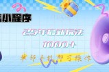 微信小程序-25年最新教学日入1000+最新玩法单部手机即可操作，做就