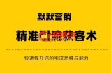 默默营销·精准引流+私域营销+逆袭赚钱（三件套）快速提升你的赚钱认知与营销思维