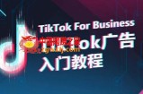 TikTok广告入门教程，从0到1掌握TikTok投放的全流程