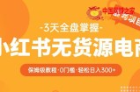 2023【阿本小红书无货源电商训练营】保姆级教程，从0到1，3天全盘掌握，轻松日入300+