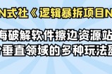 蓝海破解软件擦边资源站，细分垂直领域的多种玩法