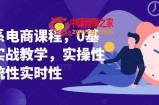 淘系电商课程，0基础实战教学，实操性系统性实时性