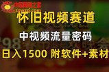 中视频流量密码，怀旧视频赛道，日1500，保姆式教学【揭秘】