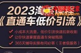 2023直通车低价引流玩法课程，小成本大流量，低价引流快速拉新收割，让你快速掌握直通车突破瓶颈