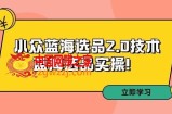 拼多多培训第33期：小众蓝海选品2.0技术-蓝海选品实操！