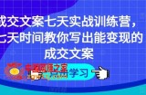成交文案七天实战训练营，七天时间教你写出能变现的成交文案