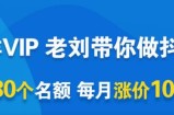 一洋电商抖音VIP，每月集训课+实时答疑+资源共享+联盟合作价值580元