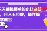 2024天天都能爆单的小红书最新玩法，月入五位数，操作简单，一学就会【揭秘】