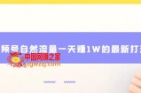 视频号自然流量一天赚1W的最新打法，基本0投资【揭秘】