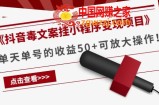 抖音毒文案挂小程序变现项目：单天单号的收益50+可放大操作！