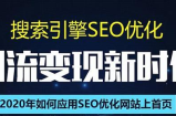 SEO搜索引擎优化总监实战VIP课堂【透析2020最新案例】快速实现年新30w