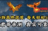 动物超燃混剪，每天轻松5张，剪辑简单大家爱看【揭秘】