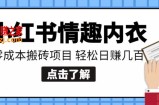 【搬砖项目】小红书0成本情趣内衣搬砖项目，轻松日赚几百+