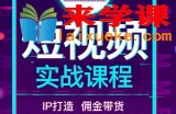 2022最新短视频实战课程：IP打造+佣金带货，全方位指导
