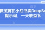 全职宝妈在小红书卖DeepSeek提示词，一天收益1k