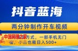 蓝海项目发布开车视频，两分钟一个作品，多种变现方式，一部手机无门槛小白也能日入500