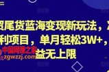 外贸尾货蓝海变现新玩法，冷门暴利项目，单月轻松3W+，收益无上限【揭秘】