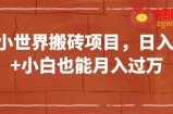 QQ小世界搬砖项目，日入500+小白也能月入过万【揭秘】