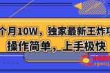 三个月10W，独家最新王炸项目！操作简单，上手极快【揭秘】