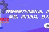 视频号暴力引流打法，小白一看就会，冷门小众，日入300+【揭秘】