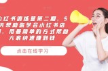 小红书训练营第二期，5天帮助你学会小红书店铺，用最简单的方式帮助大家快速赚到钱