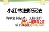 小红书进阶玩法，一单150-500+，简单复制粘贴，小白也能轻松上手【揭秘】
