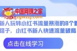 新人玩转小红书流量暴涨的8个野路子，小红书新人快速流量破局