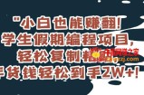 小白也能赚翻！学生假期编程项目，轻松复制粘贴，年货钱轻松到手2W+【揭秘】