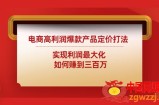 电商高利润爆款产品定价打法：实现利润最大化 如何赚到三百万