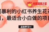 冷门暴利的小红书养生花茶项目，最适合小白做的项目【揭秘】