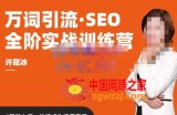 许茹冰·万词引流-SEO全阶实战训练营，0基础入门，快速成为流量高手