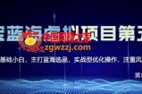淘宝虚拟无货源课程3.0+4.0+5.0：适合0基础小白，主打蓝海选品，实战型优化操作（原价1988元）