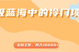 超级蓝海中的冷门项目，文档工作，好玩又赚钱，月入10000+