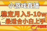 寒假新风口玩就挺秃然的月入5-10w，单日收益3000+，每天只需1小时，最适合小白上手，保姆式教学【揭秘】