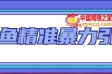 闲鱼精准暴力引流全系列课程，每天被动精准引流100+粉丝