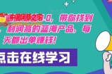 【推荐】闲鱼无货源训练营3.0，带你找到竞争小，利润高的蓝海产品，每天都出单赚钱！（更新）