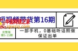 短视频带货第16期：一部手机，0基础听话照做，保证出单 (完整版 赠5-15期)