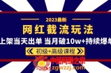 2023网红·同款截流玩法【初级+高级课程】上架当天出单 当月破10w+持续爆单