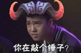 以“猫+猫周边产品”为例搞中介 这样操作赚同行的钱最轻松