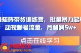 视频号矩阵带货训练营，批量暴力起号，撬动视频号流量，月利润5w+
